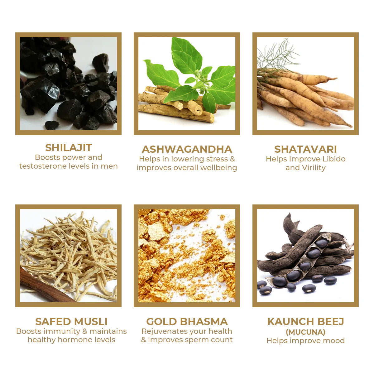 Saptamveda Shilajit Gold Capsule