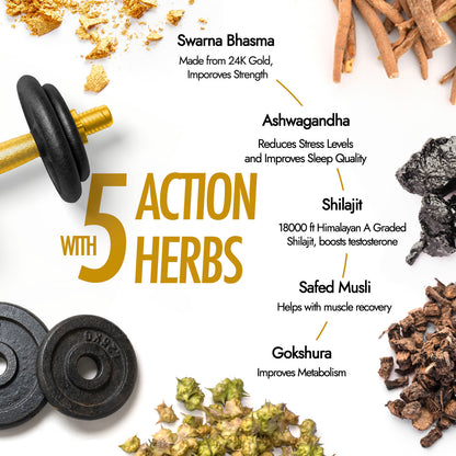 Kapiva Him Foods SHILAJIT GOLD CAPSULES