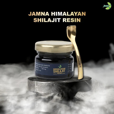 Jamna Himalayan Shilajit Resin